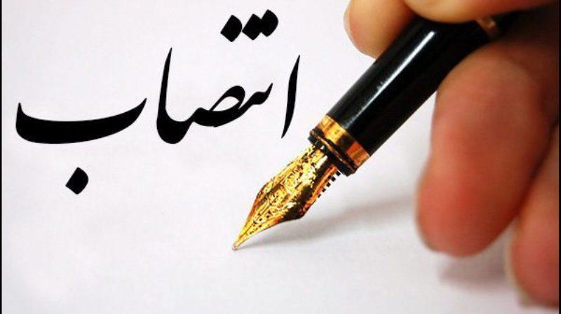 ملک محمدی سرپرست گروه فیلم و سریال سیما فیلم شد