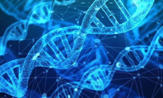 دانستنی های جالب درباره دی ان ای (DNA)