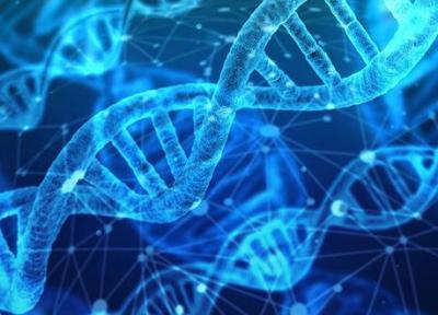 دانستنی های جالب درباره دی ان ای (DNA)