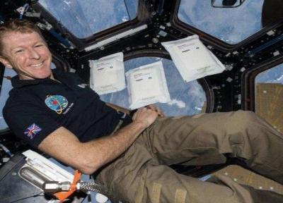 پرورش مواد سالاد در فضا امکانپذیر شد