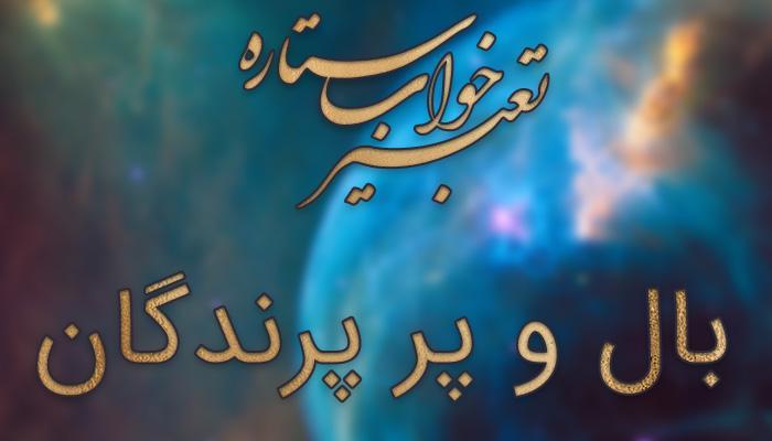 تعبیر خواب بال و پر پرندگان