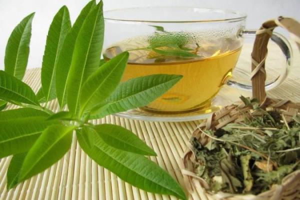 آشنایی با فواید کیاه به لیمو آشنایی با فواید کیاه به لیمو
