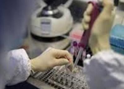 بهره مندی 903 شرکت دانش بنیان از خدمات آزمایشگاهی