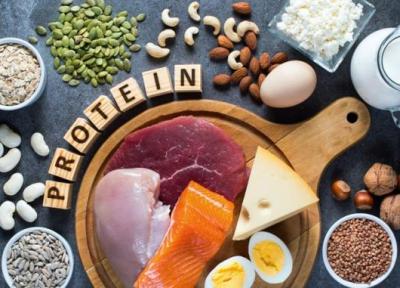 پروتئین گیاهی یا حیوانی؛ کدام برای سلامتی بهتر است؟