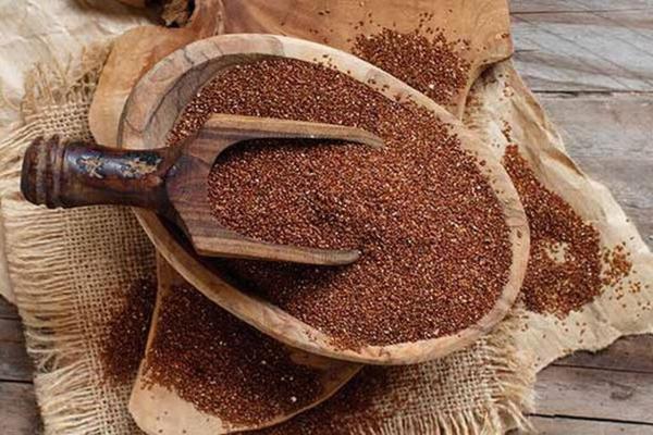 بهترین گیاه برای کاهش عطش در ماه رمضان برترین گیاه برای کاهش عطش در ماه رمضان