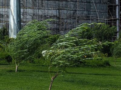 وزش باد شدید در نیمه جنوبی تهران
