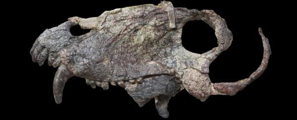 عکس ، شکارچی هولناکی که 40 میلیون سال قبل از تی رکس زندگی می کرد ، کشف فسیل 265 میلیون ساله پامپافونوس